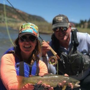 Meet your Posher, Polly